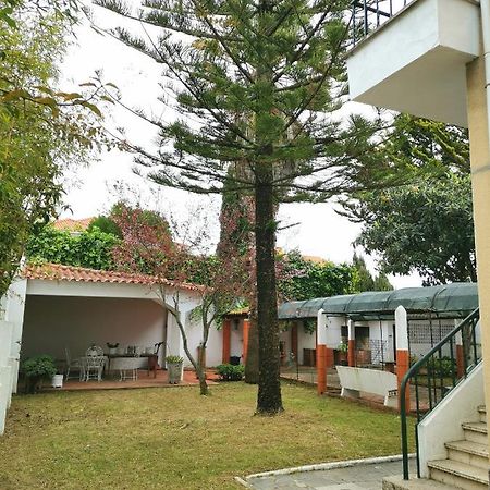 Botanique Guesthouse Cascais Exteriér fotografie