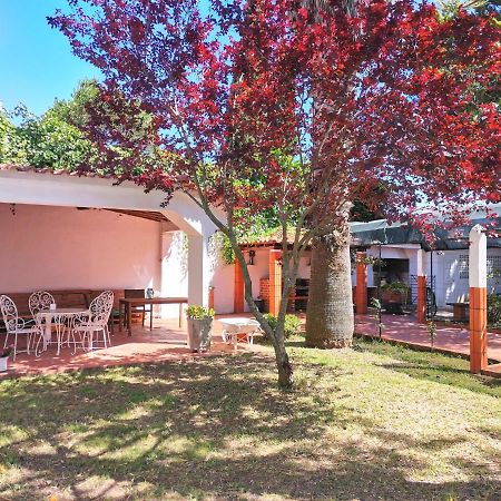 Botanique Guesthouse Cascais Exteriér fotografie