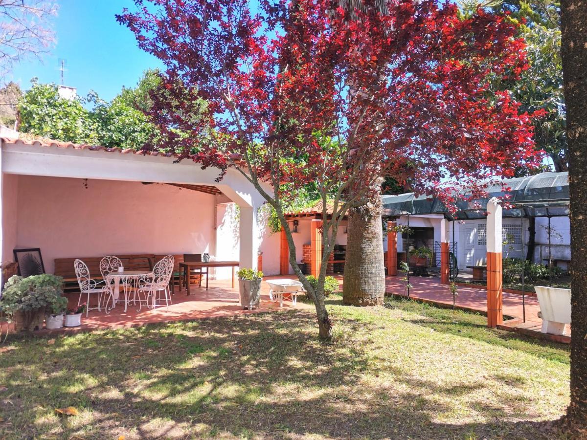 Botanique Guesthouse Cascais Exteriér fotografie
